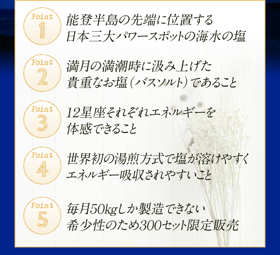5つ特徴ポイント