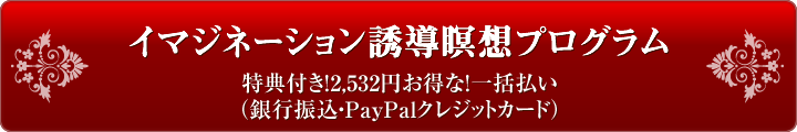 特典付き2532円お得な一括払い