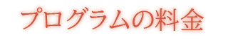 プログラムの料金