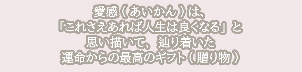 愛感(あいかん)は、「これさえあれば人生は良くなる」と思い描いて、辿り着いた運命からの最高のギフト(贈り物)