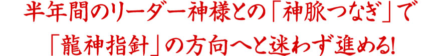 半年間のリーダー神様との「神脈つなぎ」で「龍神指針」の方向へと迷わず進める！