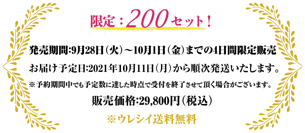 限定：５００セット！